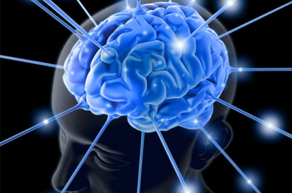 brain